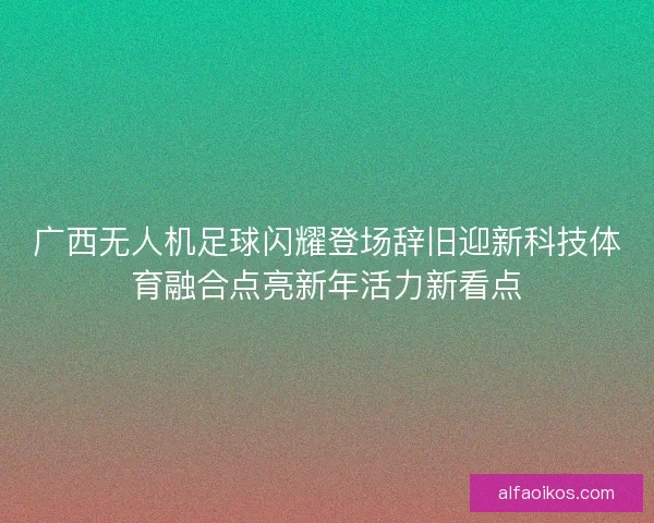 广西无人机足球闪耀登场辞旧迎新科技体育融合点亮新年活力新看点 广西无人机足球闪耀登场辞旧迎新科技体育融合点亮新年活力新看点