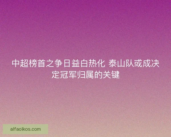 中超榜首之争日益白热化 泰山队或成决定冠军归属的关键 中超榜首之争日益白热化 泰山队或成决定冠军归属的关键